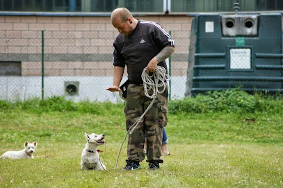 Cani Academy (éducateur canin 63 03 42 ), Dresseur de Chiens à Thiers
