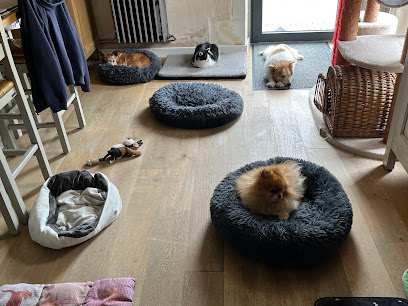 La Pension Enchantée, Pension Pour Chien à Champigny-sur-Veude
