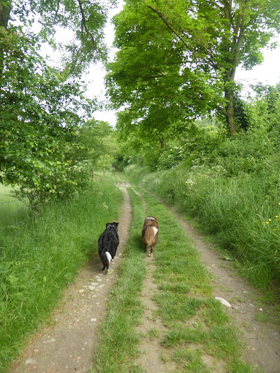 Laeti'zamours Éducateur Canin. Pension Canine, Dresseur De Chiens à Ablain-Saint-Nazaire