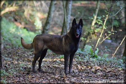 La Vallée Caïd, Eleveur de Chiens à Tressignaux