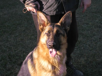 éleveur Berger Allemand, Cavalier King Charles : élevage Du Plan De La Baume, Eleveur de Chiens à Nans-les-Pins