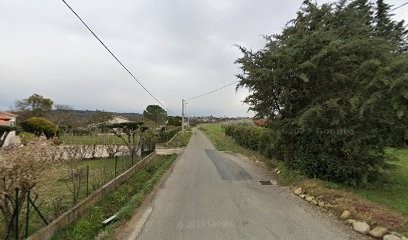 Élevage Du Domaine De Brenda, Eleveur de Chiens à Méjannes-lès-Alès