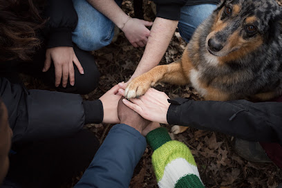 Pattes'complices - Comportementaliste - Médiation Animale Dresseur De Chiens à Orée d'Anjou