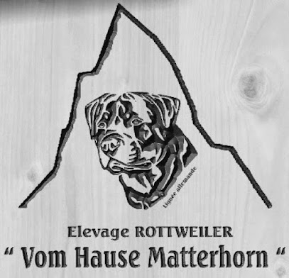 Elevage Rottweiler Vom Hause Matterhorn, Éleveur De Chiens à Sainte-Anne-sur-Brivet