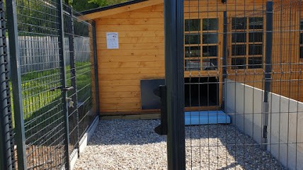 La pension des héros, Pension pour Chiens à Ouville-la-Rivière