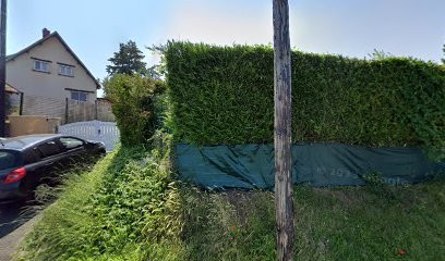 Elevage d'épagneul nain papillon, Eleveur de Chiens à La Chapelle-Longueville