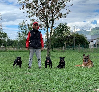 Les Chiens du Paradis - Éducateur et dresseur canin- Grenoble, Dresseur de Chiens à Sassenage