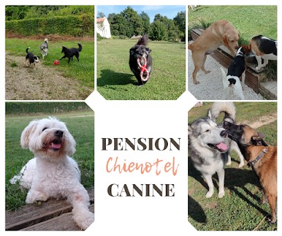 Chienotel - Pension Pour Chien, Chat, NAC, Pension pour Chiens à Mauroux