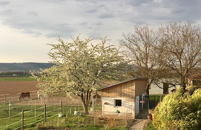 Pension Canine Du Ried-Educatrice Comportementaliste, Pension pour Chiens à Guémar