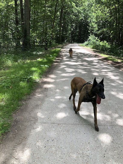 Canistuce, Dresseur de Chiens à Vernon