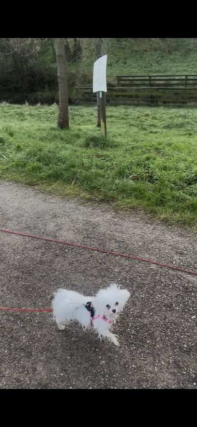 Crocbien85 Dresseur De Chiens à Jard-sur-Mer