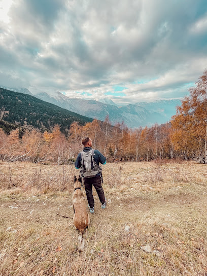 Educ & Nous Dresseur De Chiens à Orange