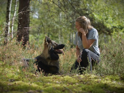 Un Jour, Mon Chien… - Éducatrice Canine Et Comportementaliste (45), Dresseur de Chiens à Saint-Jean-le-Blanc