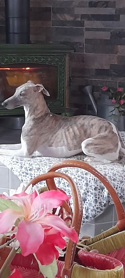 La Romance Des Damoiseaux, Eleveur de Chiens à Lamongerie