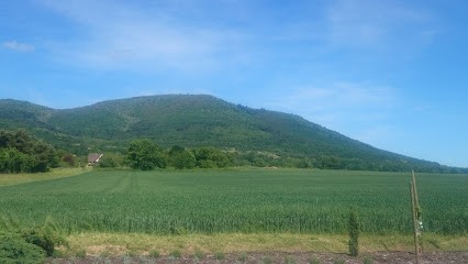 Rocher des Highlanders, Eleveur de Chiens à Wattwiller