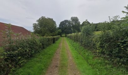L'Académie Des Chiens Calvados, Dresseur de Chiens aux Monts d'Aunay
