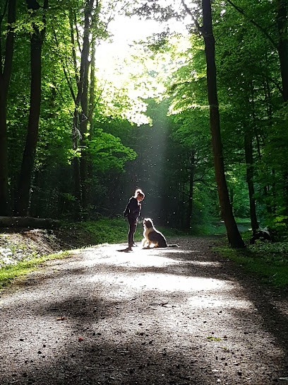 Dog'O Poil - Education Canine, Dresseur de Chiens à Locmaria-Grand-Champ