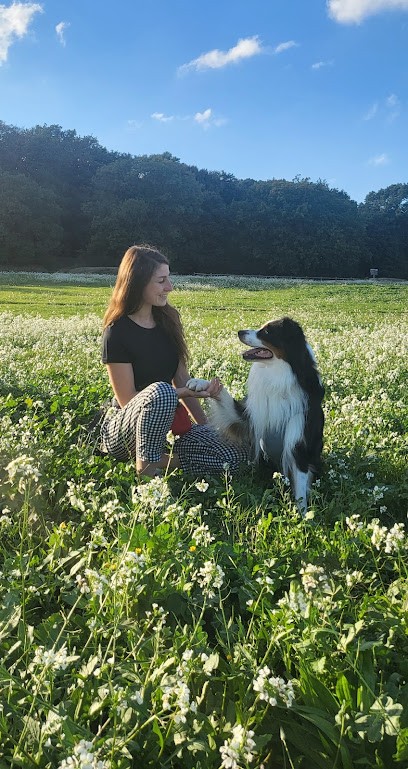 Lumière Canine - Éducatrice Et Comportementaliste Canin, Dresseur de Chiens à Meynes