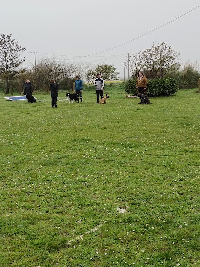Club canin Centre d éducation canine de Plomeur (pays bigouden ), Dresseur de Chiens à Plomeur