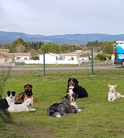 Club Canin de Villemoustaussou, Dresseur de Chiens à Villemoustaussou