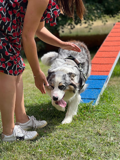 Canicampus Centre Canin, Dresseur De Chiens à Martigny-sur-l'Ante