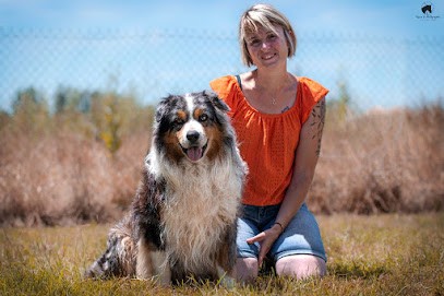 Domaine Du Clos Australien : Élevage de Berger Américain Miniature Berger Australien et Welsh Corgi Pembroke dans le 47, Eleveur de Chiens à Castelmoron-sur-Lot