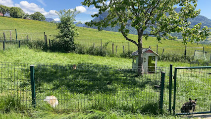 Domaine De La Petite Meute, Éleveur De Chiens à Fillière