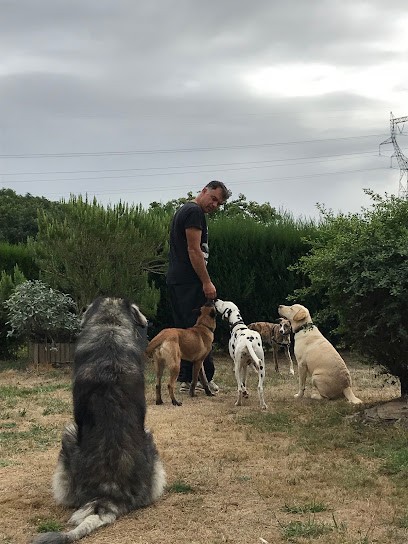 Pascal - Educateur Comportementaliste Canin, Dresseur de Chiens à Retiers