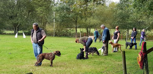 Club Canin De L'Odet, Dresseur de Chiens à Quimper