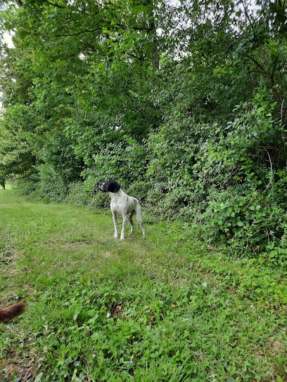 Centre Canin Familial et Educatif de la Charmée, Pension pour Chiens à Fontenailles