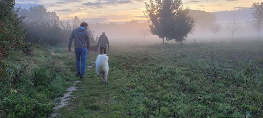 ChrisProDog Éducateur Canin Comportementaliste, Dresseur de Chiens à Marcq-en-Baroeul