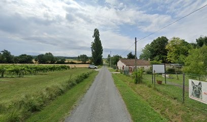 La Brume Au Matin, Pension pour Chiens à Arthenac