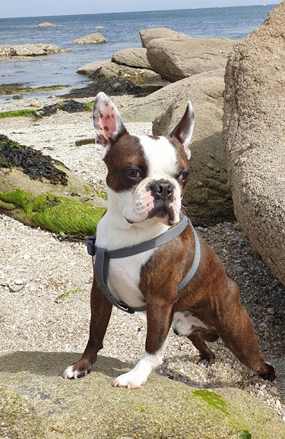 Milantosa, Eleveur de Chiens à Poulaines