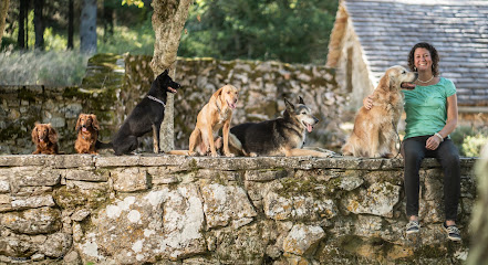 A-Realnature | Melanie Müller - Hundecoaching, Dresseur De Chiens à Sansac-Veinazès