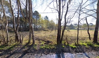 HAPPY DOG L'Ode des Loups, Eleveur de Chiens à Bayas