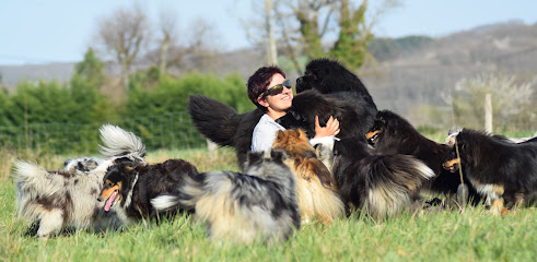 Terre De Néaure, Éleveur De Chiens à Cizos