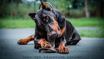 Sauv'age éducation Canine, Dresseur de Chiens à Beaucé