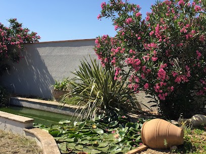 Animalia Pension Chiens Chats, Pension pour Chiens à Salses-le-Château