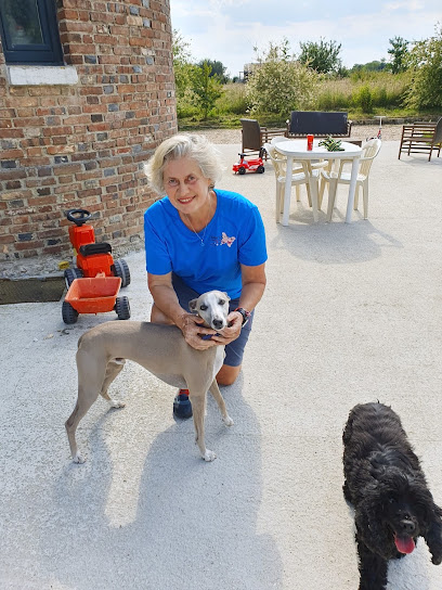 Educat'eure Dresseur De Chiens à Louviers