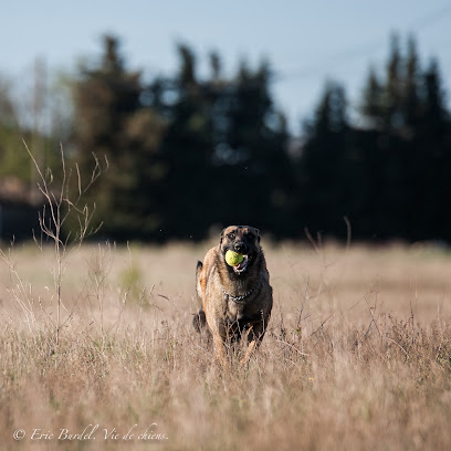 La Ferme De Laur' Et Nico - Pension Canine, Pension Pour Chien à Santeuil