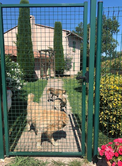 Harand José, Pension pour Chiens aux Adrets-de-l'Estérel