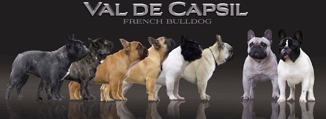 Du Val De Capsil Éleveur De Chiens à Neuilh