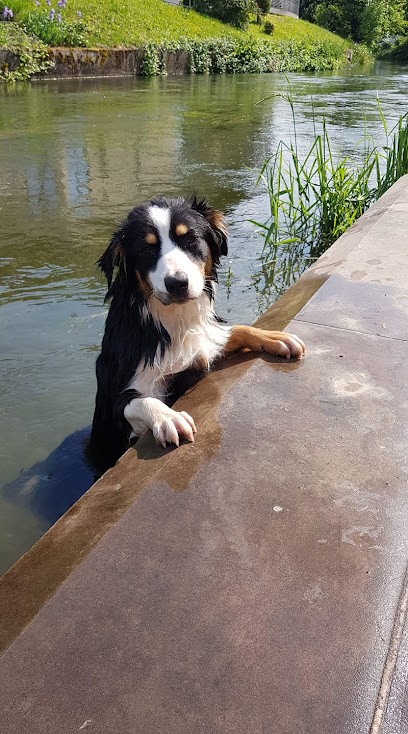 Espoir Canin, Dresseur de Chiens à Natzwiller