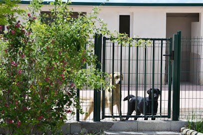 Pension Canine Du Domaine De La Vallée De L'Arc, Pension pour Chiens à Trets