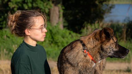 NM Education Canine, Dresseur de Chiens à Saint-Étienne