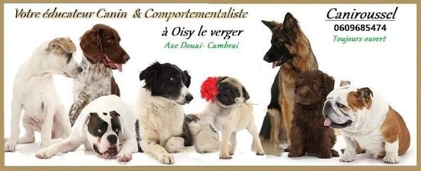 Canirousssel, Dresseur de Chiens à Oisy-le-Verger