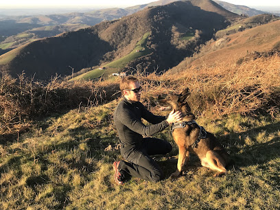 Mont Croc - Éducateur Et Comportement Canin / Formation Aux Premiers Secours Canin Et Félin, Dresseur De Chiens à Tosse
