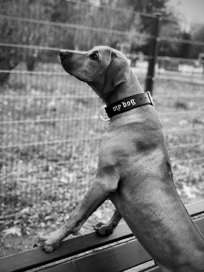 Educ'n Love, Dresseur de Chiens à Strasbourg