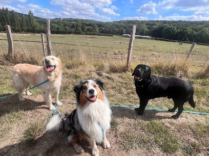 Les Compagnons De Lili, Pension pour Chiens à Boulogne-Billancourt