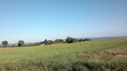 Champeyroux Yves Pension Canine Les Baloyes, Pension pour Chiens à Champs